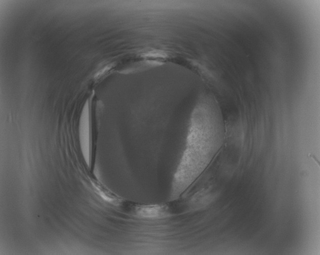 X0000081310479200701181907