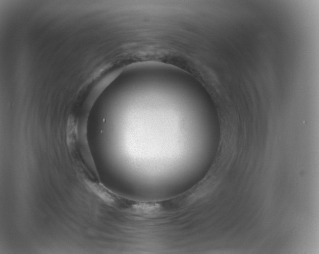 X0000081310480200701181907