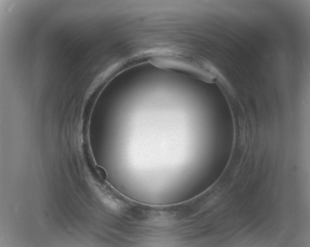 X0000081310486200701181906