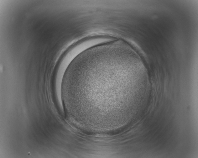 X0000081310487200701181906