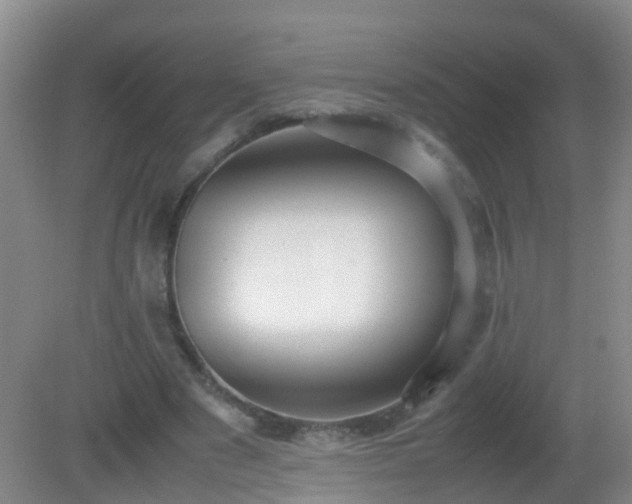 X0000081310489200701181906