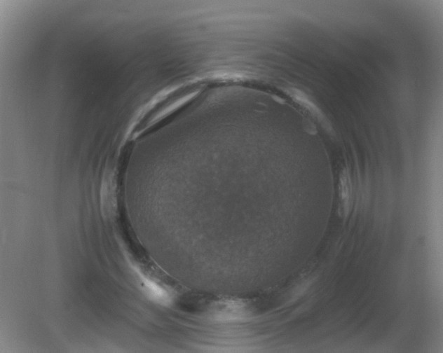 X0000081310492200701181906