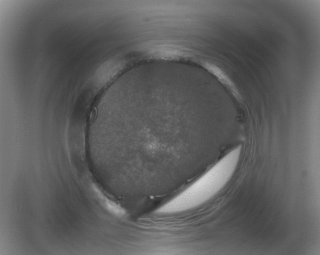 X0000081310493200701181906