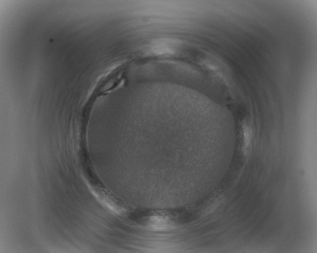 X0000081310496200701181906