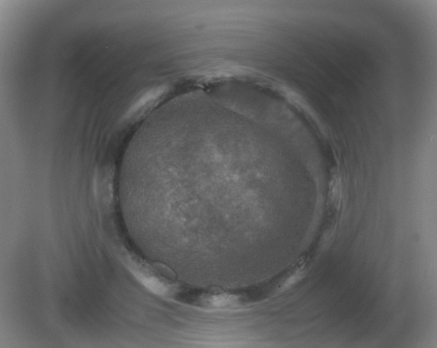 X0000081310501200701181906