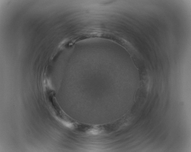 X0000081310504200701181906