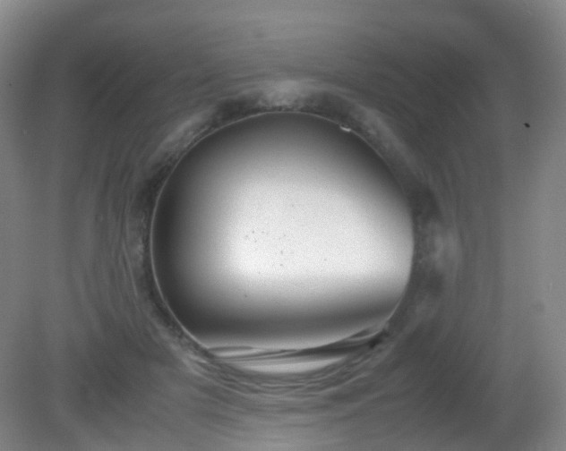 X0000081310505200701181906