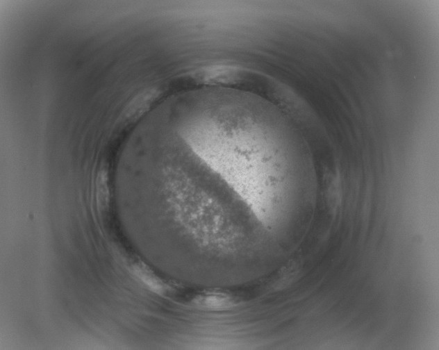 X0000081310506200701181906