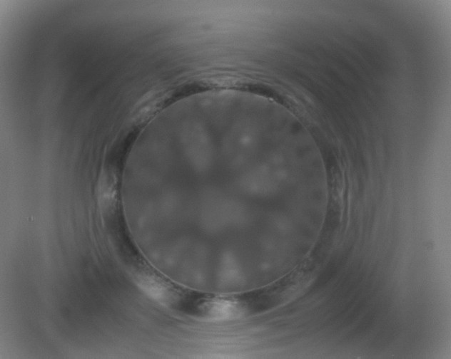 X0000081310507200701181906