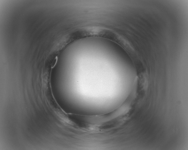 X0000081310509200701181905