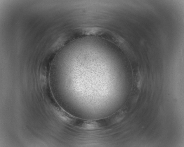 X0000081310510200701181905