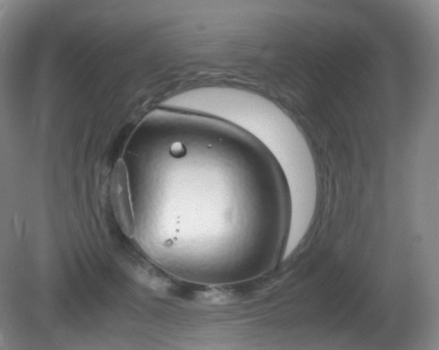 X0000081310511200701181905