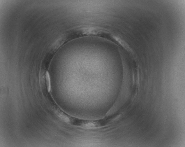 X0000081310513200701181905