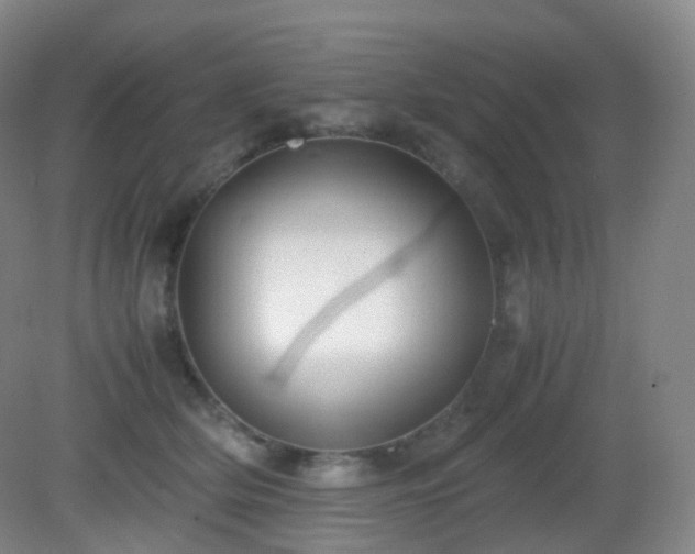 X0000081310514200701181905