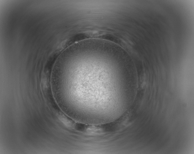 X0000081310515200701181905