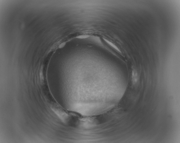 X0000081310516200701181905