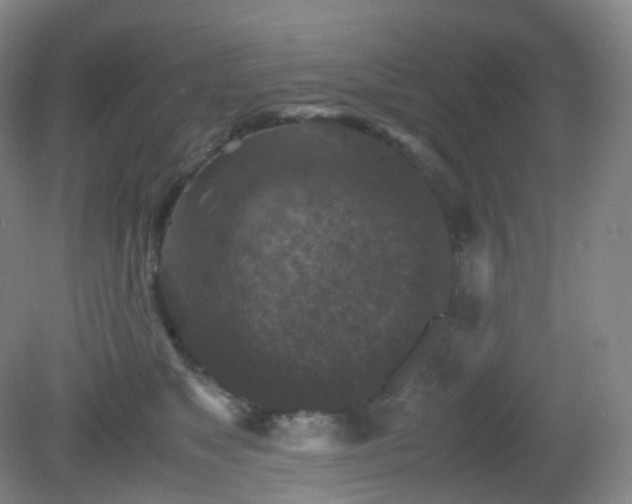 X0000081310517200701181905