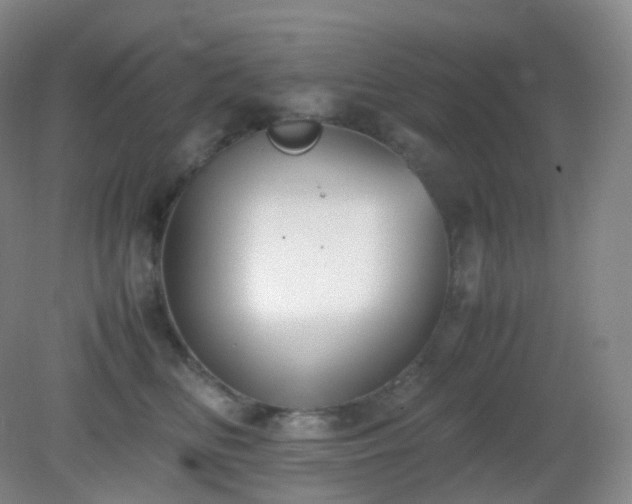 X0000081310518200701181905