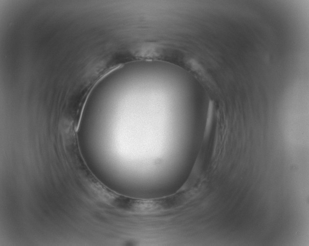 X0000081310521200701181905