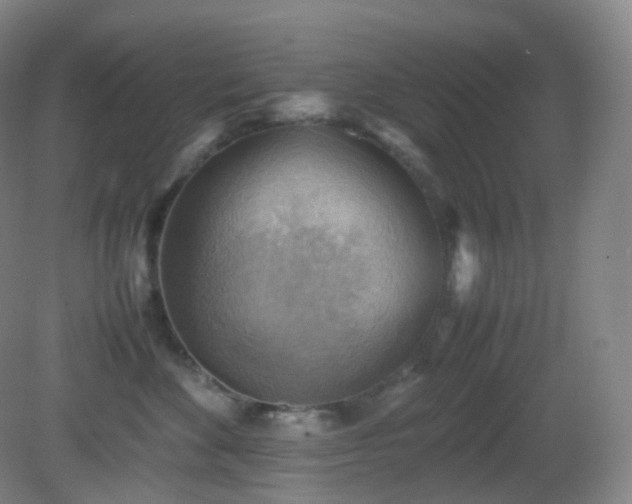 X0000081310524200701181905