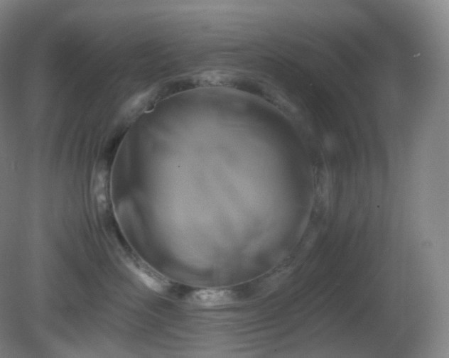 X0000081310526200701181905