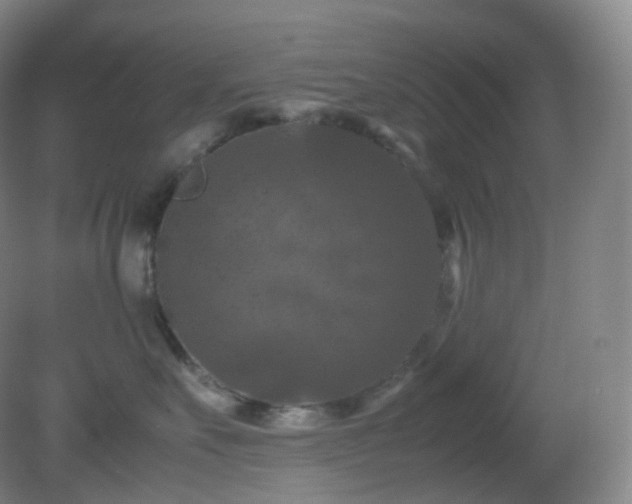 X0000081310527200701181905