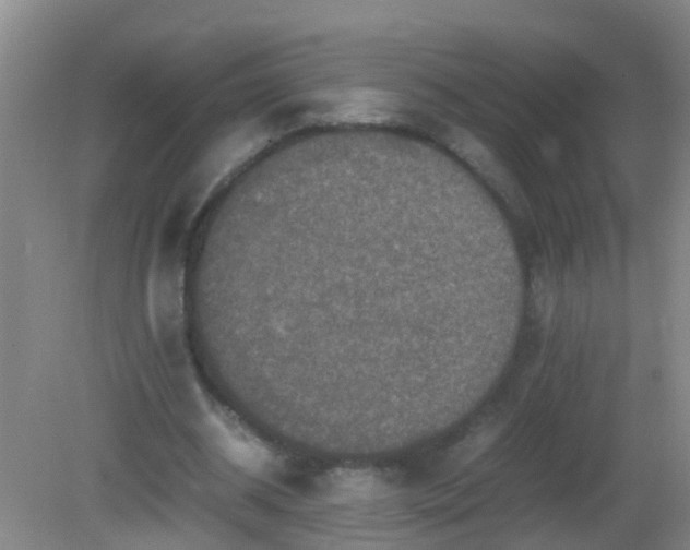 X0000081310534200701181904