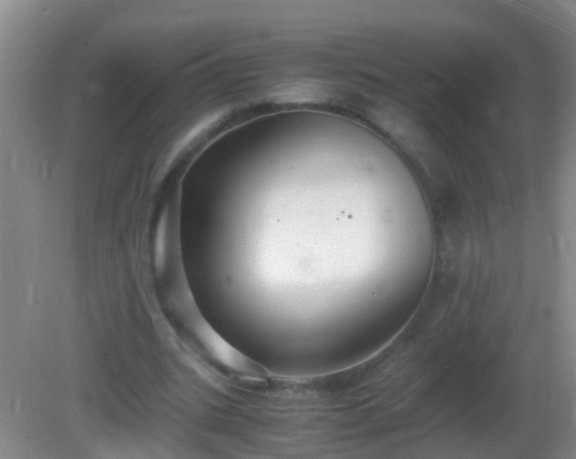 X0000081310535200701181904