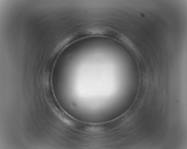 X0000081310537200701181904