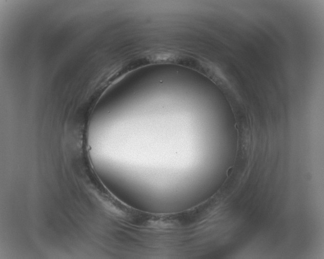 X0000081310545200701181905