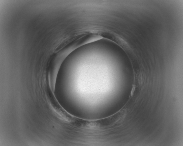 X0000081310546200701181905