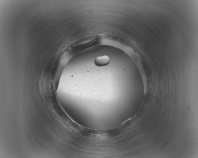X0000081310548200701181905