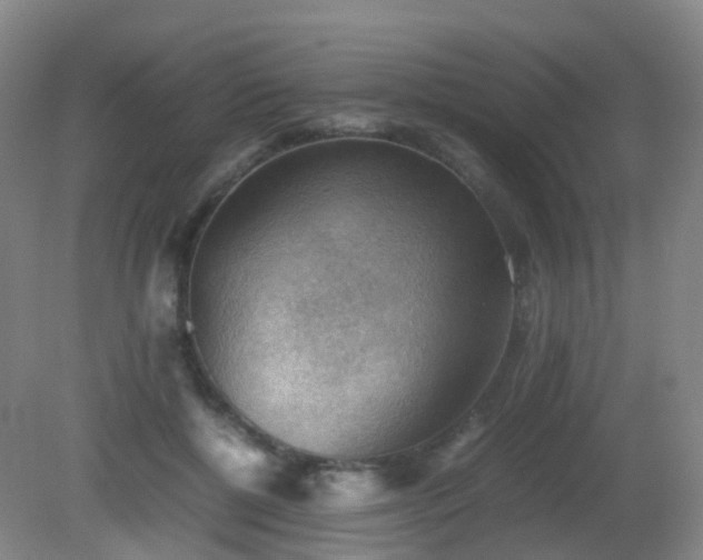 X0000081310552200701181905