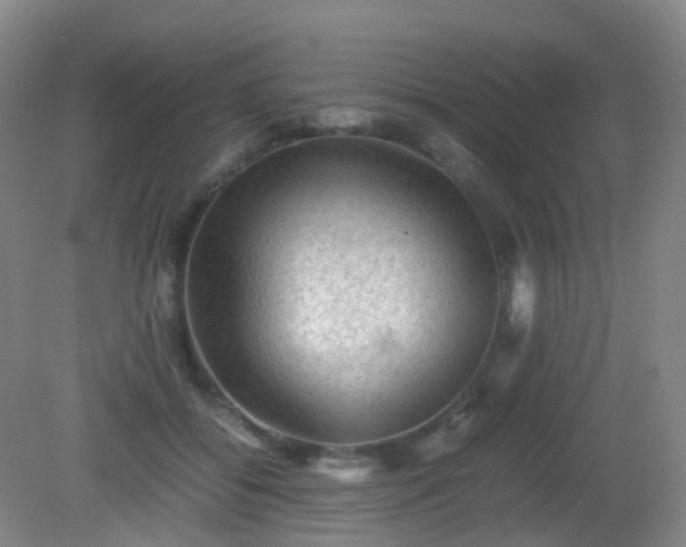 X0000081310556200701181905