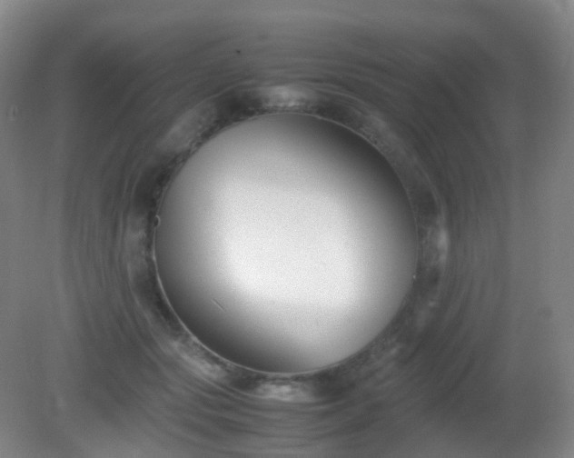 X0000081310557200701181905
