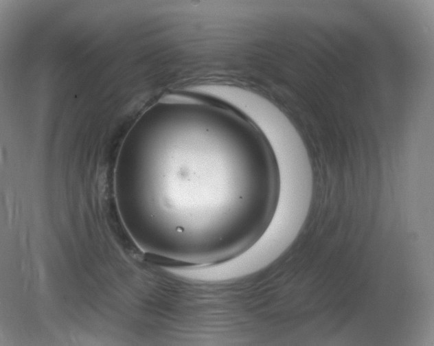 X0000081310560200701181905