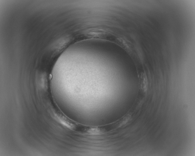 X0000081310562200701181905