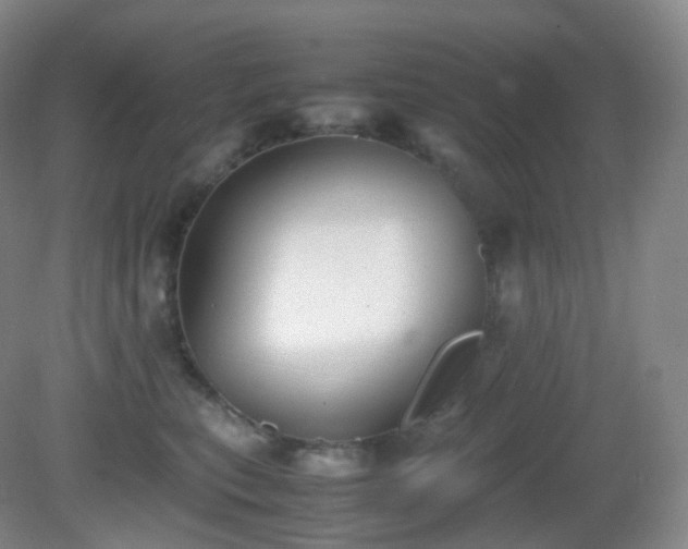 X0000081310567200701181905