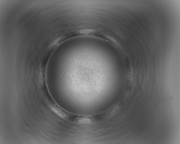 X0000081310572200701181905