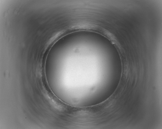 X0000081310578200701181904