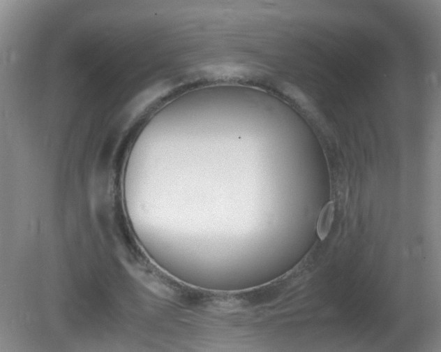X0000081310583200701181904