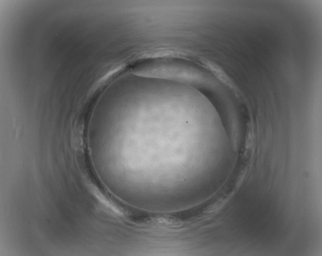 X0000081310585200701181904