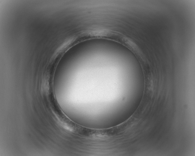 X0000081310586200701181904