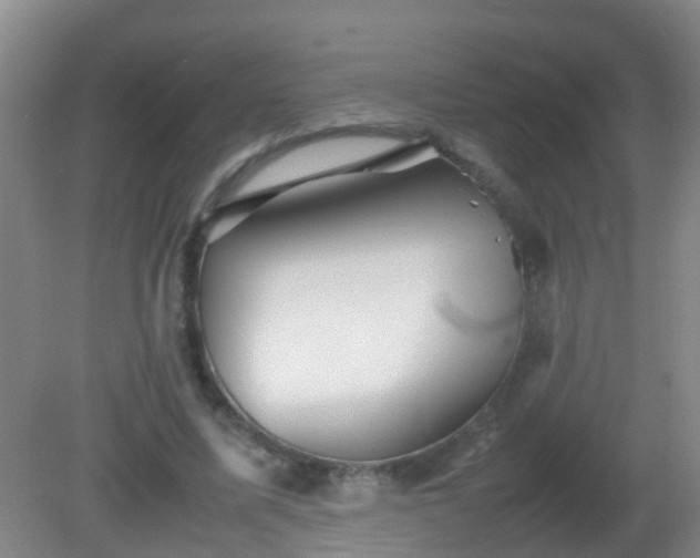 X0000081310587200701181904