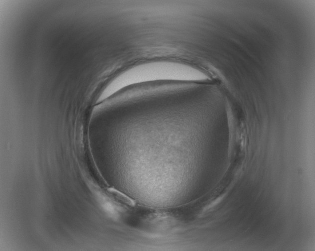 X0000081310589200701181904