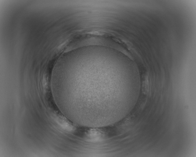 X0000081310608200701181904