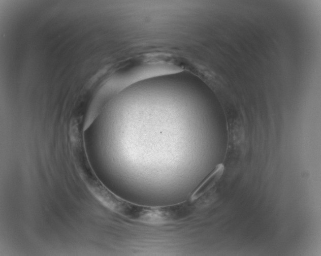X0000081310611200701181904