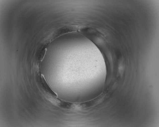 X0000081310613200701181904