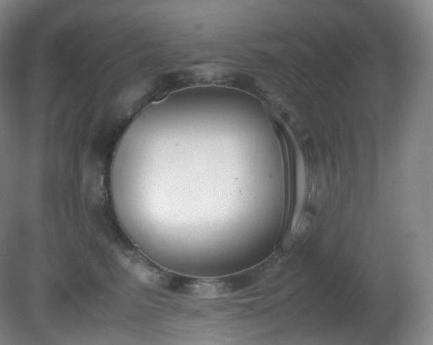 X0000081310615200701181904