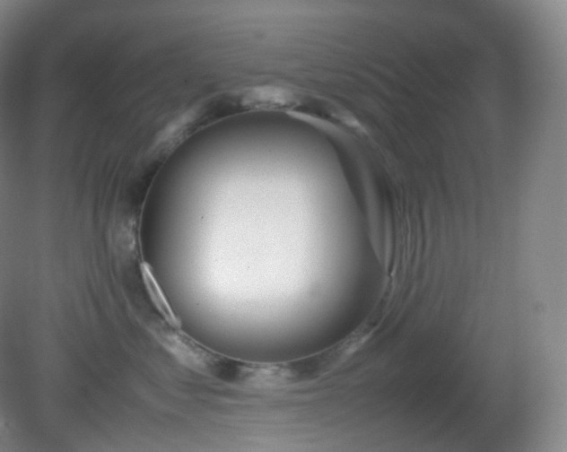 X0000081310621200701181904